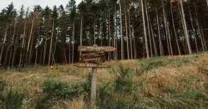 How to Read Trail Signs and Markings Without Getting Confused