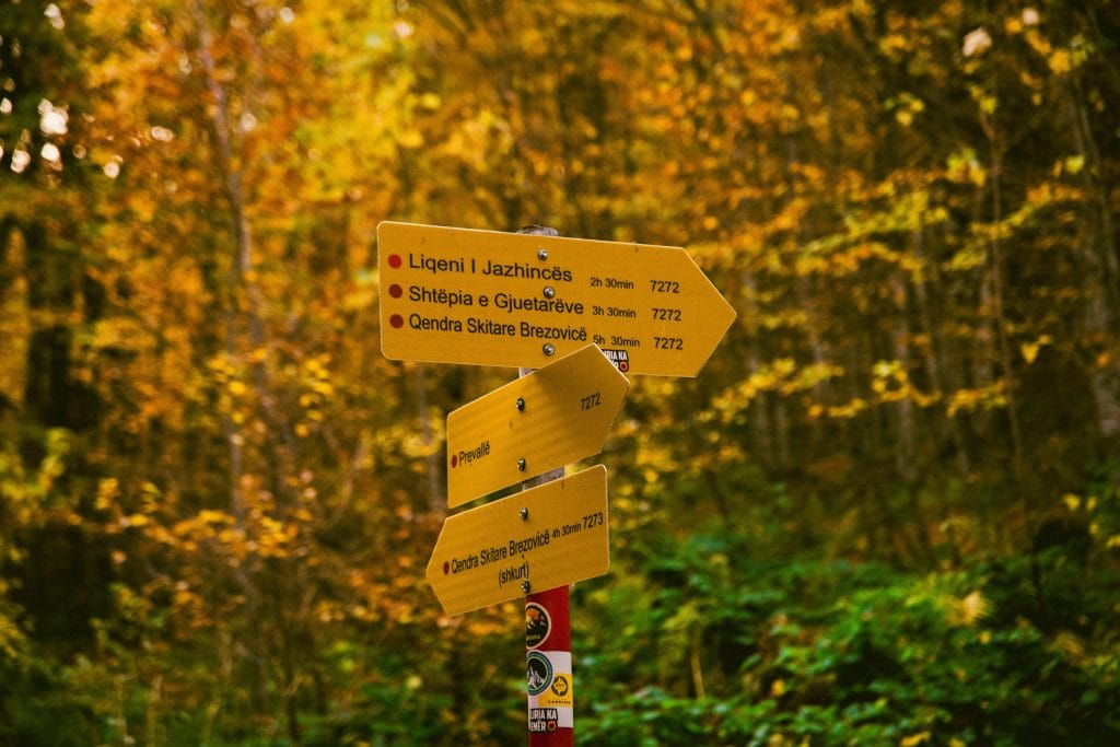 reading trail signs and markings at a trail fork to choose the correct direction