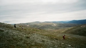 Why Open Ridge Trails Feel So Different From Forest Routes on the Same Day