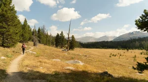 Why Trail Scenery Changes How Long a Hike Feels to Most People