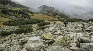 How to Cross Rocky Trail Sections Without Losing Rhythm or Wasting Energy