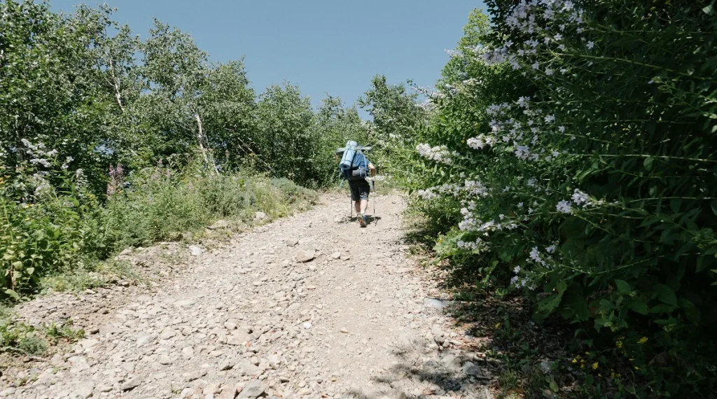 changing trail surfaces are easier to manage when hikers notice footing changes early