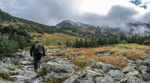 Why Fatigue Makes Simple Trail Decisions Harder Than Hikers Realize