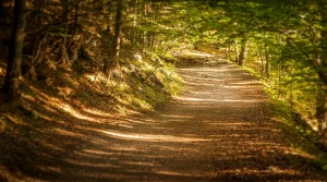 How to Choose a Beginner Hiking Start Time So the Trail Feels Easier