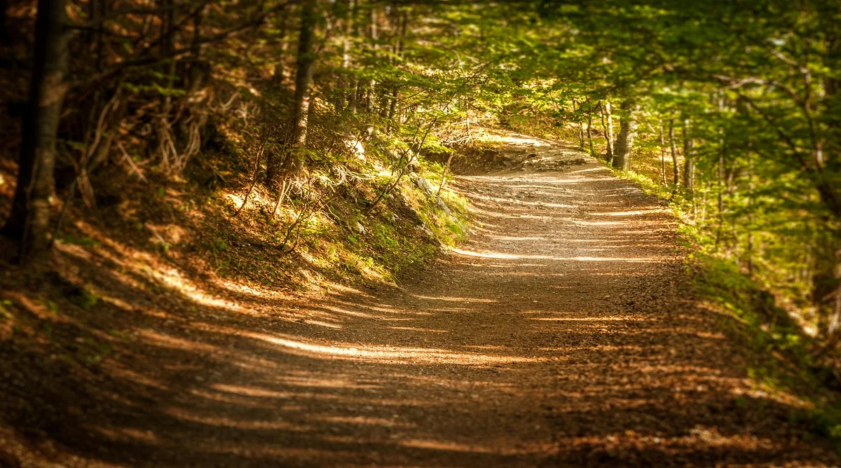 beginner hiking start time can affect comfort on a sunlit trail