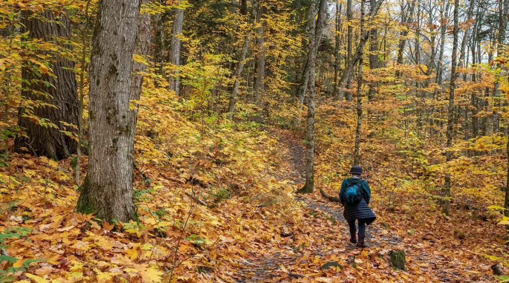 simple solo hiking routines include early route and pace checks on the trail