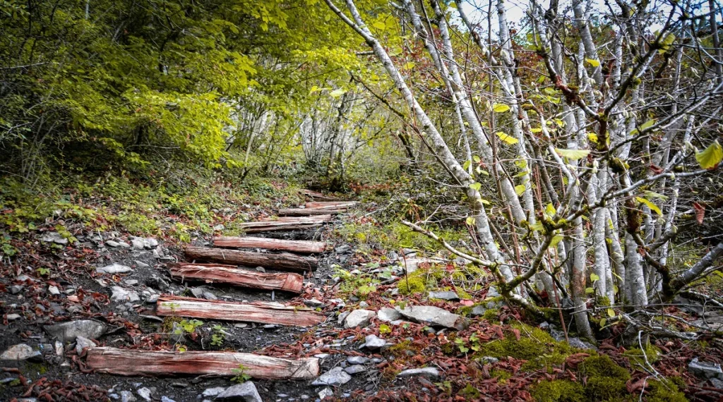 rocky trail sections are easier with shorter steps and steady trail balance skills