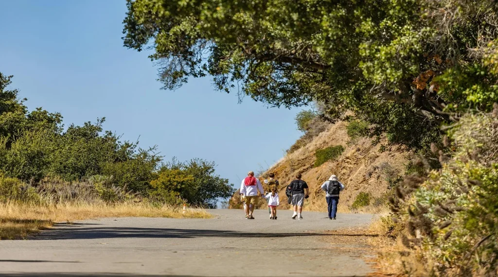 quiet trails with wildlife activity help hikers notice more when voices stay lower