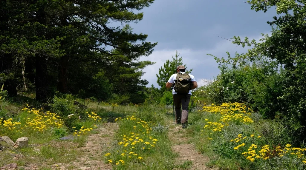 quiet trails with wildlife activity often reward hikers who move and speak calmly