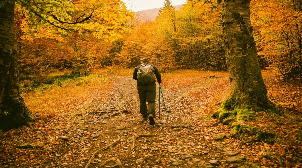 changing trail surfaces can affect hiking pace and footing on natural trails