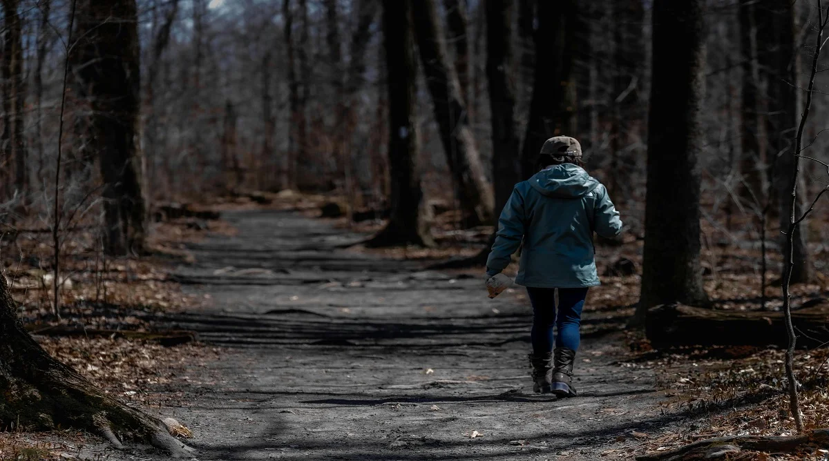 quiet trails with wildlife activity are best explored with calm respectful movement