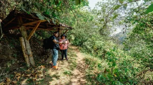 best rest spots on hiking trails give hikers shade comfort and a safe place to pause