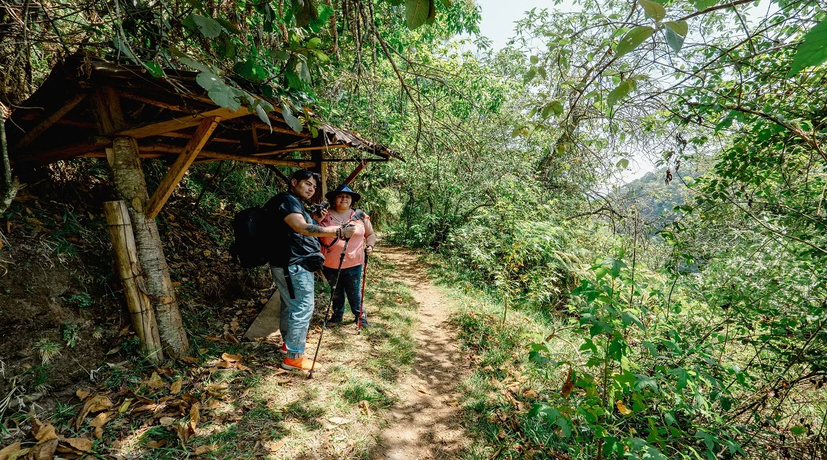 best rest spots on hiking trails give hikers shade comfort and a safe place to pause