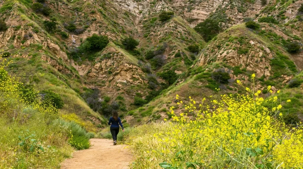 trail scenery changes how long a hike feels when the route offers varied natural views