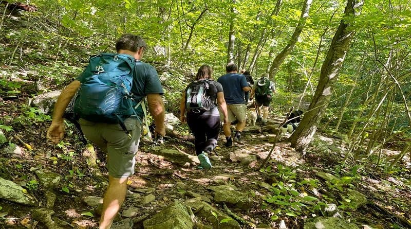 Beginner Hiking Tips Experts Recommend for a Safer First Trail
