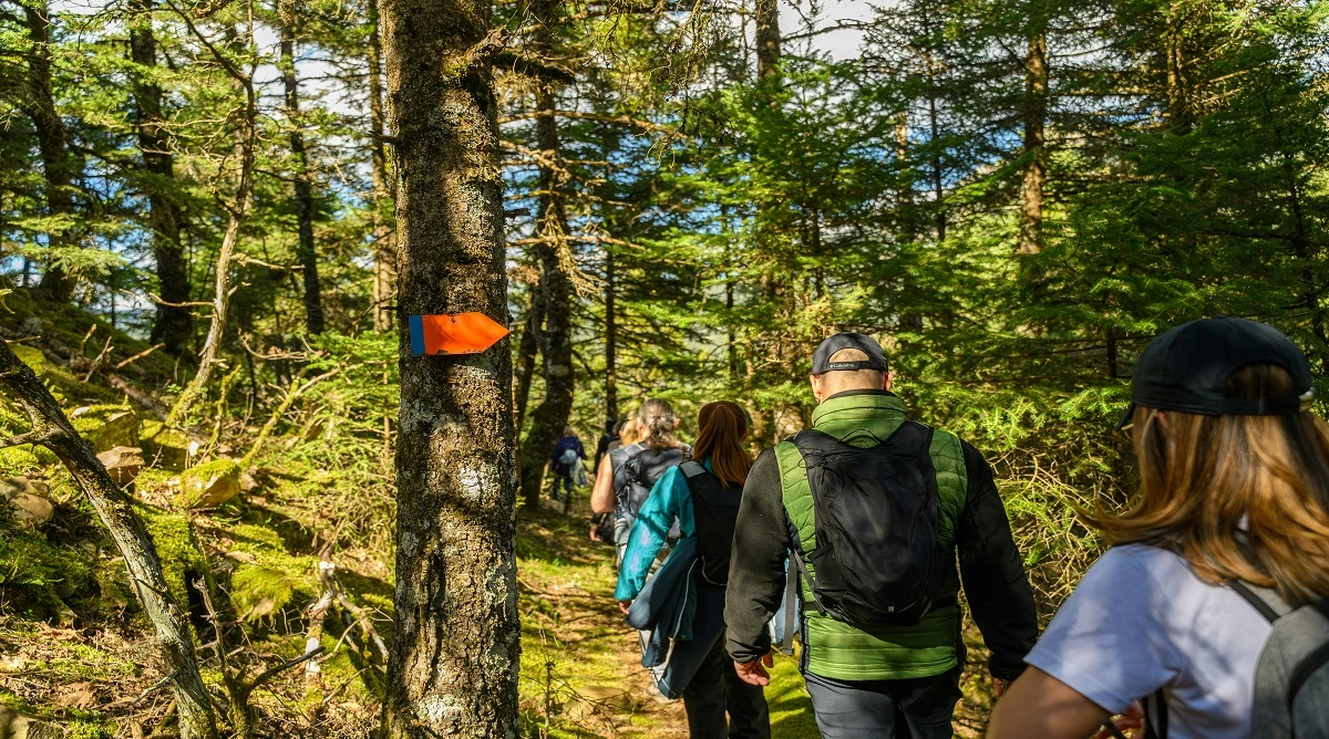 trail junctions are easier to follow when hikers check painted route markers