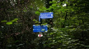 trail junctions in a forest with multiple route choices and direction signs
