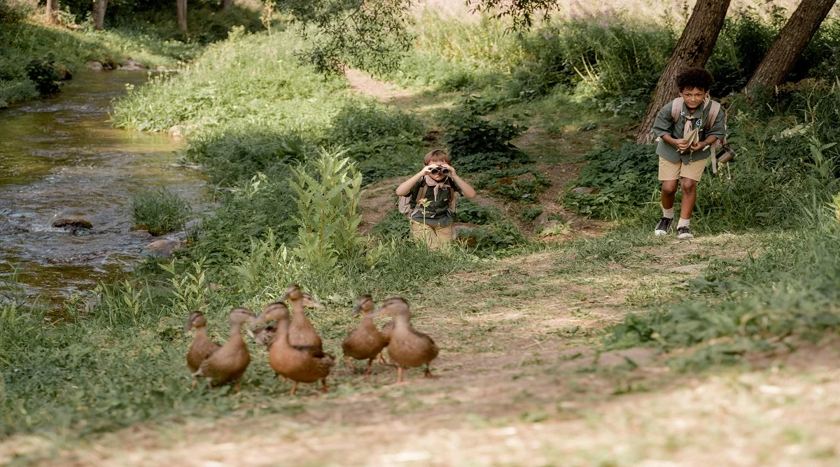 noticing wildlife on hiking trails through quiet observation and trail awareness