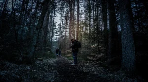 noticing wildlife on hiking trails while walking quietly through a forest