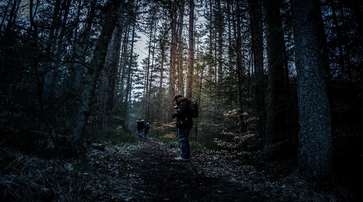 noticing wildlife on hiking trails while walking quietly through a forest