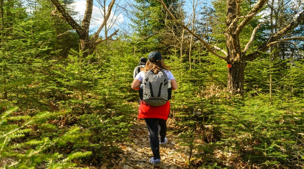 forest hiking trails encourage steady pace and close trail awareness