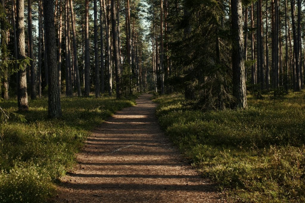 hiking etiquette rules include maintaining quiet on forest trails