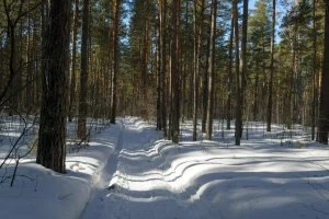 Why Spring Mud Can Make a Familiar Hiking Trail Feel Slower Than Usual