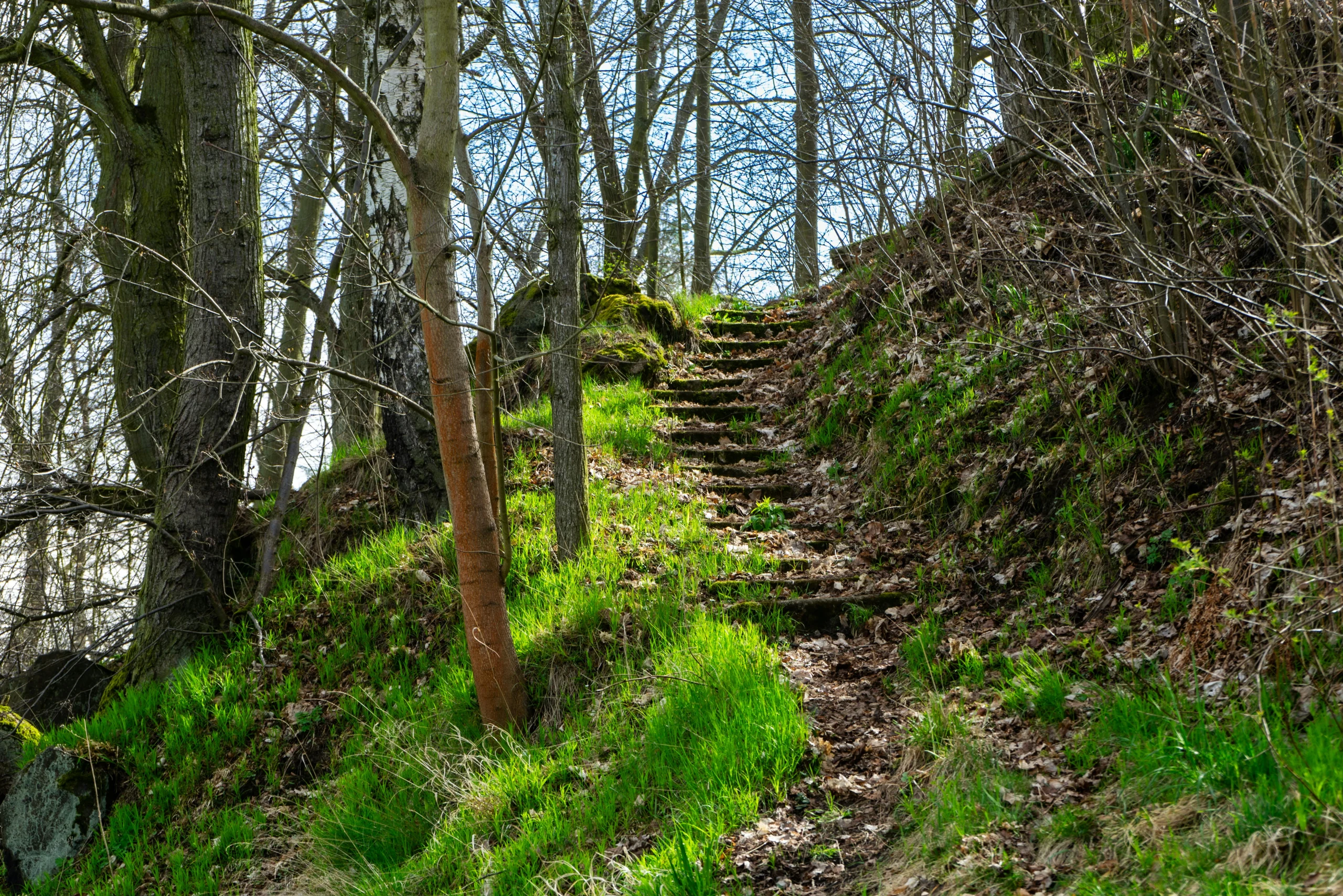spring mud on hiking trails is easier to manage with shorter careful steps