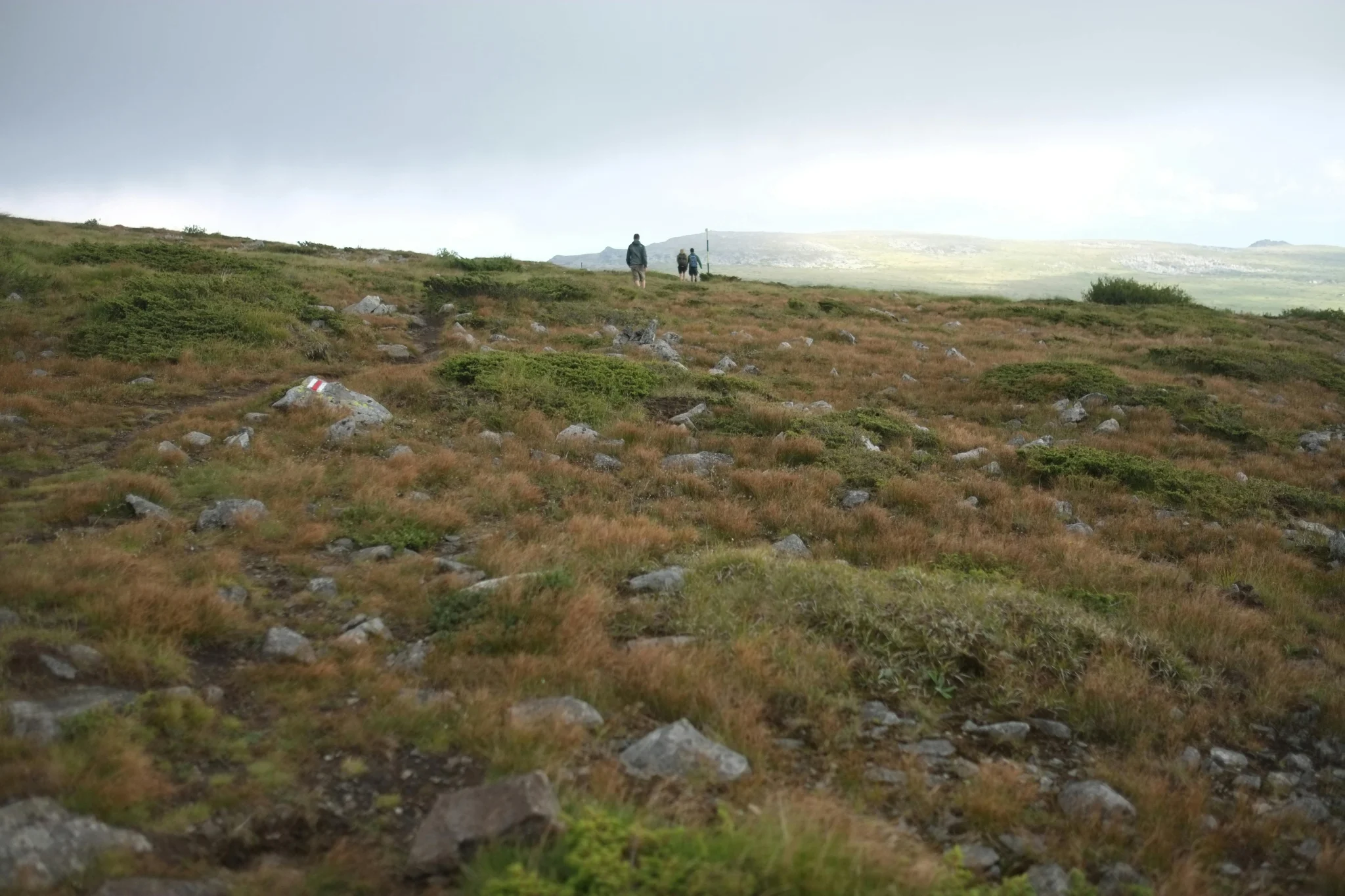 trail getting harder as a hiker notices less smooth steps on changing terrain