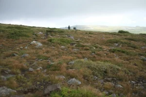 Why Hikers Often Notice a Trail Getting Harder Only After Their Steps Start Feeling Less Smooth