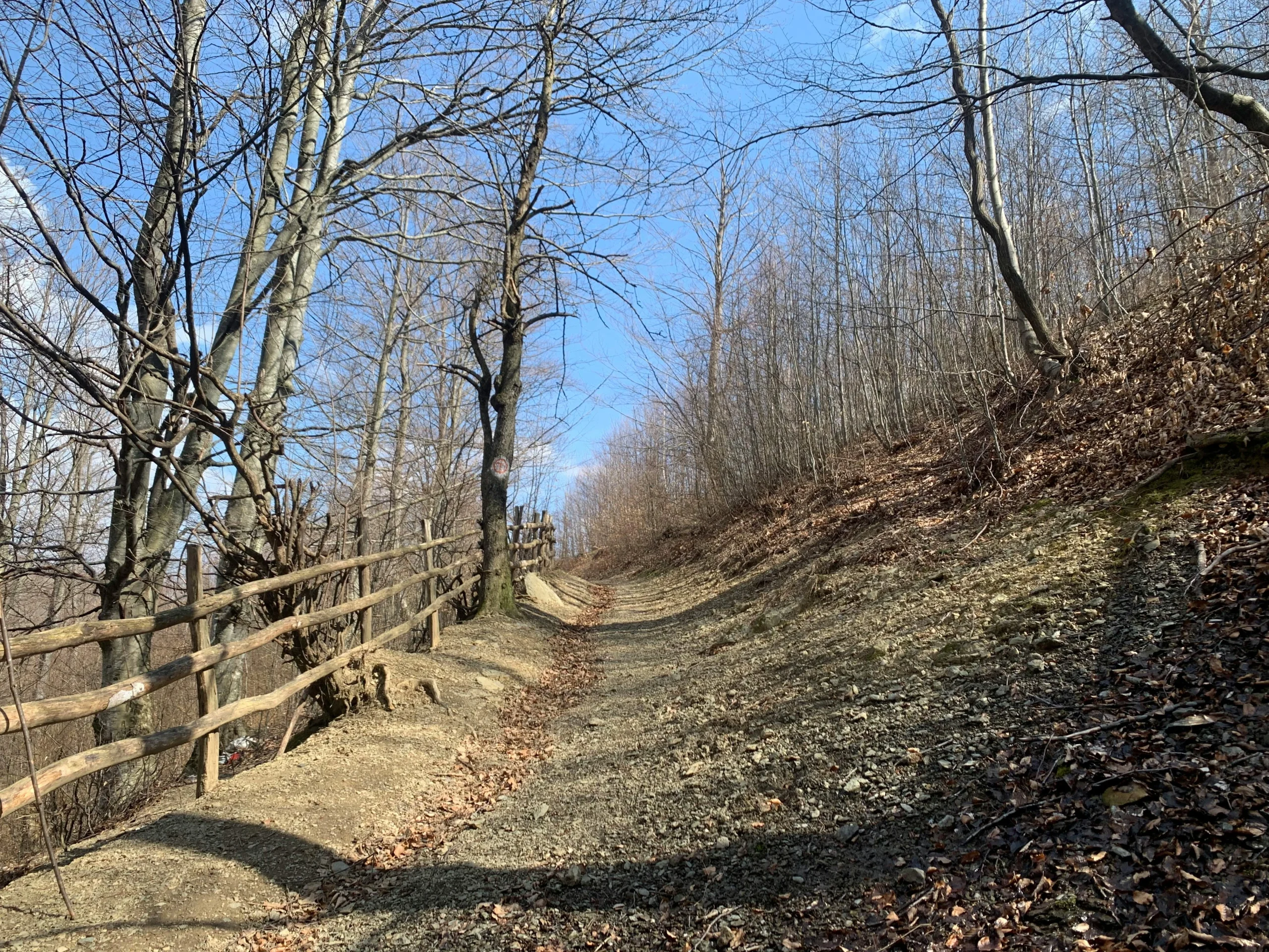 trail getting harder as subtle surface changes affect hiking rhythm changes