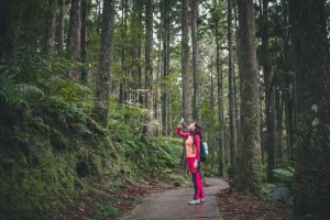 beginner hikers often feel strong early but need water and breaks before fatigue builds