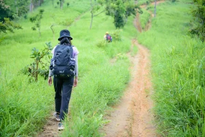 Why Beginner Hikers Often Feel Strong Early and Tired Much Sooner Than They Expected