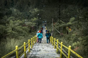 hikers feel more tired after descents when they rush instead of using short controlled steps