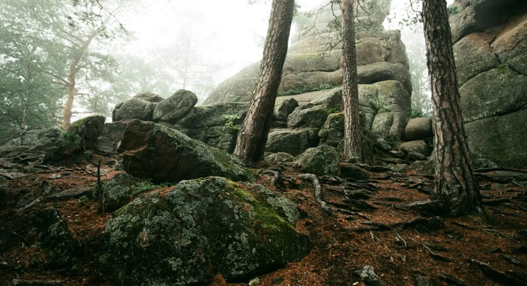 Hiker looking down at dirt path with roots and rocks