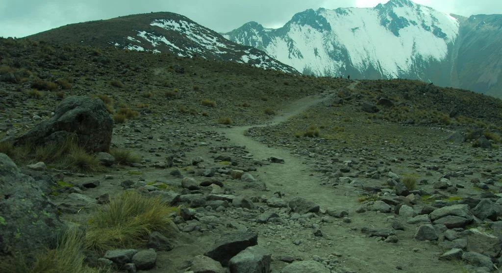 Hikers on a trail with repeated small climbs