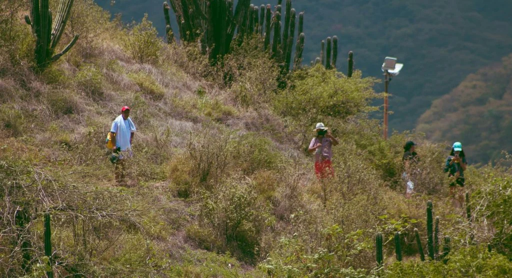 long straight trails feel easier when hikers break the visible distance into smaller sections
