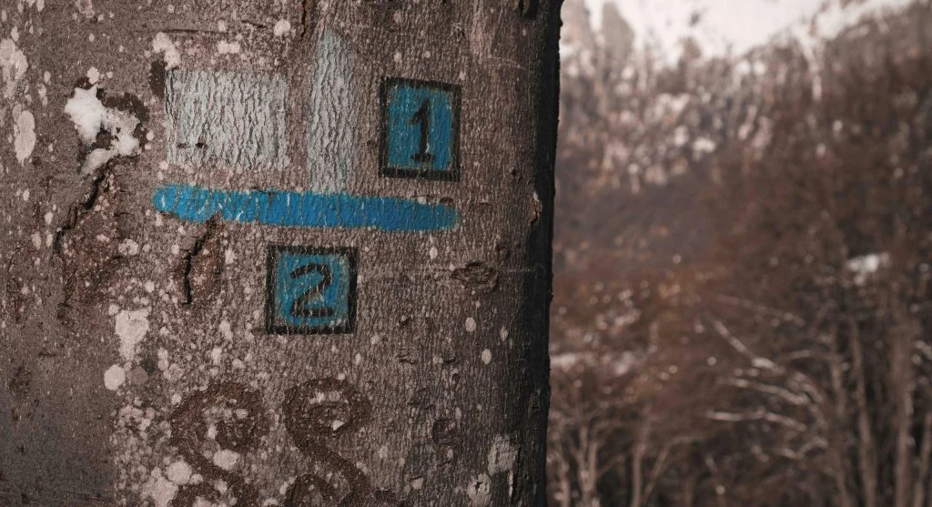 hiker checking map on trail