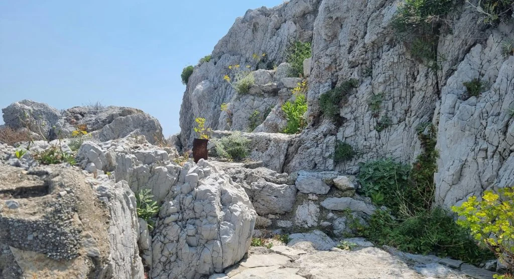 Hiker navigating uneven trail with rocks and roots