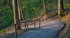 Person hiking on a sunny trail during spring