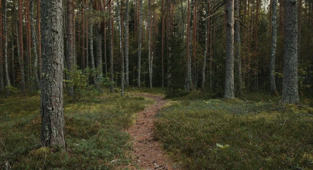Hiker speaking in a low voice on a quiet trail surrounded by nature