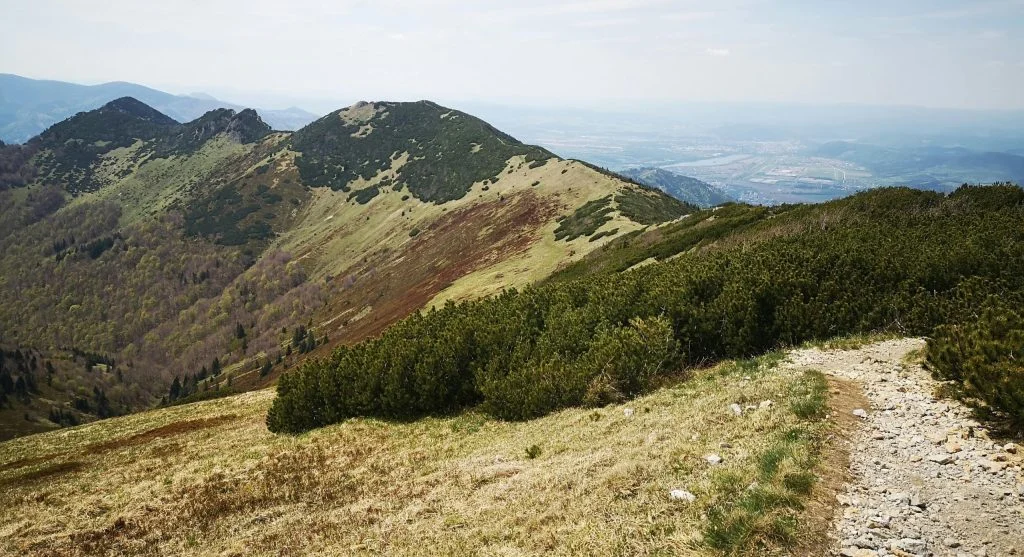 hiker steps aside to check phone