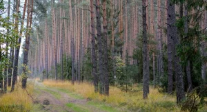 long straight trails often feel slower because hikers can see a large distance ahead
