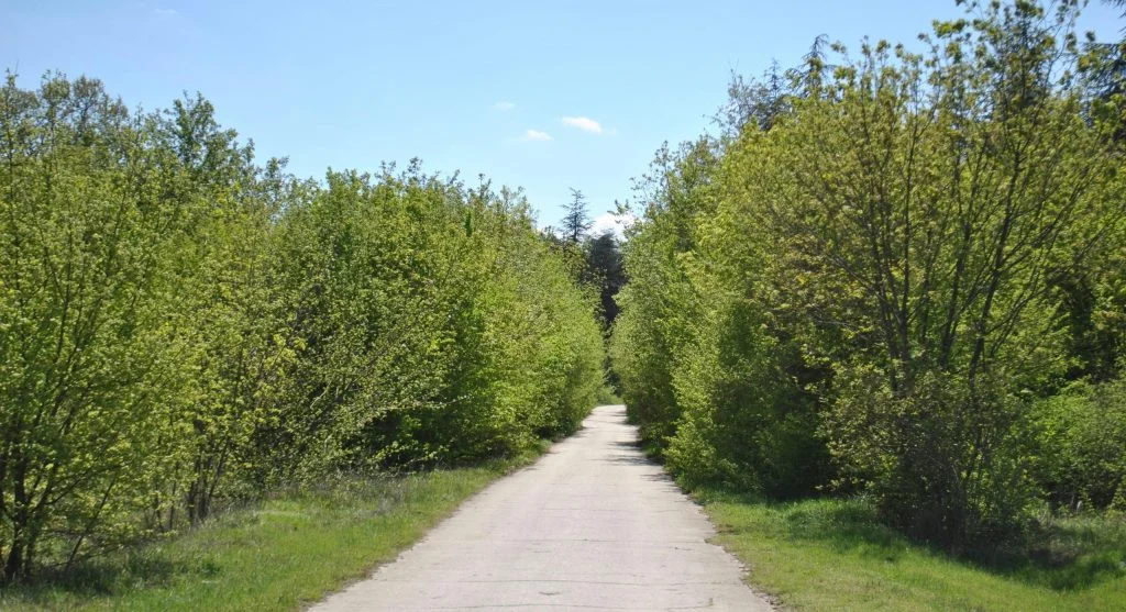 Person hiking on a sunny trail with minimal shade