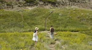 hiker walking steadily on uneven trail