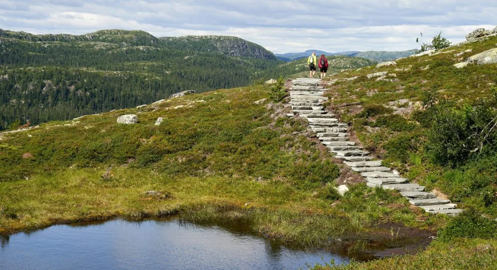 Hiker walking on uneven trails with a smooth gait