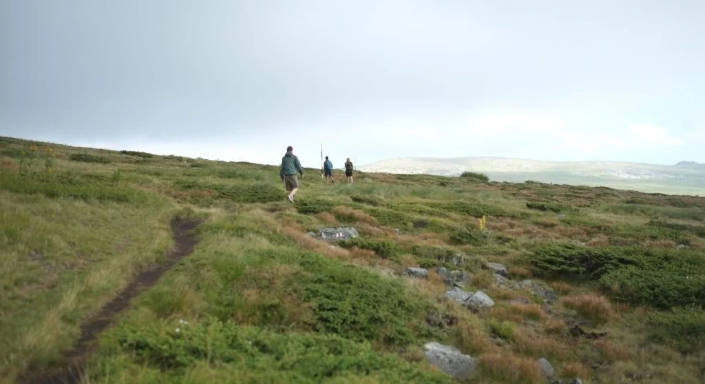 Repeated short step-ups on trails feel easier when hikers slow down and move more smoothly