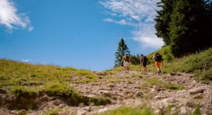 Familiar snacks can help hikers keep energy steadier on longer hikes