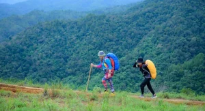 Why Hikers Often Use Trekking Poles Too Late on Trails That Already Started Feeling Uneven