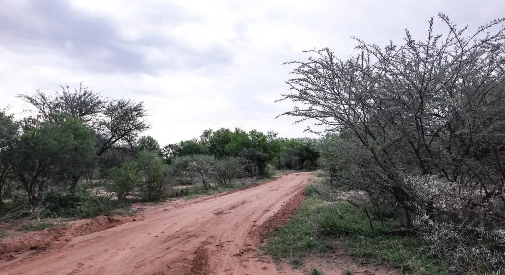 Thin gravel and dust can make a trail surface feel looser than it looks